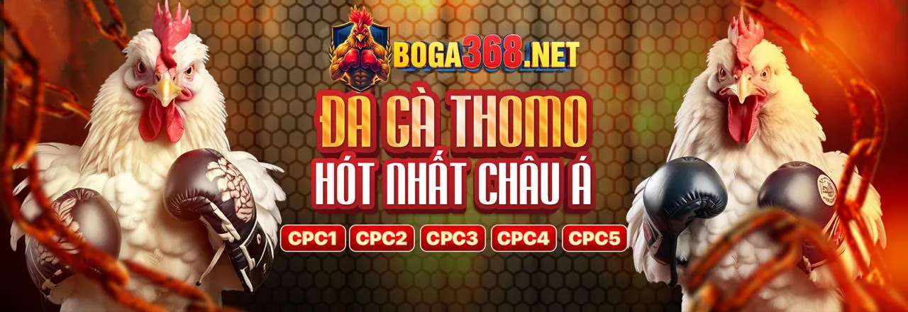 Đá Gà Trực Tuyến vin7771